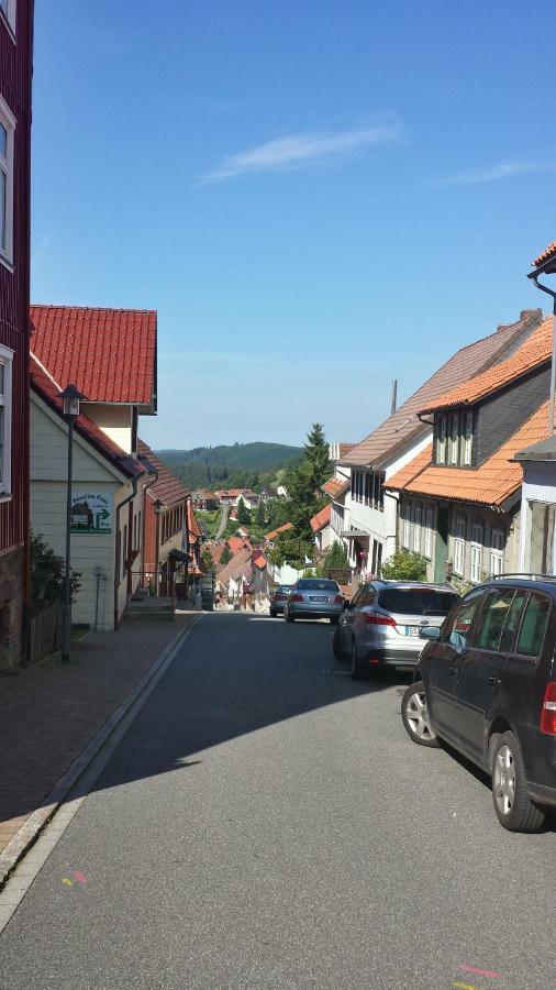 Koenig'S Wohnung Sankt Andreasberg Luaran gambar